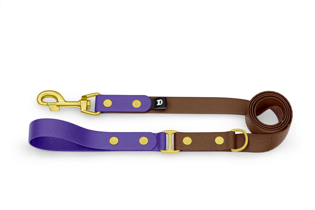Dog Leash Duo: Purple & Dark brown with Gold components