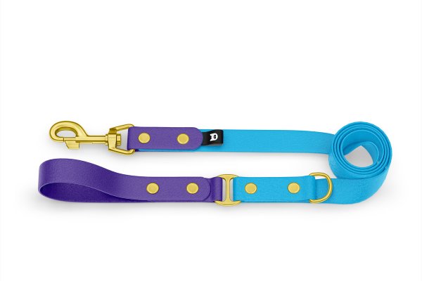 Dog Leash Duo: Purple & Light blue with Gold components