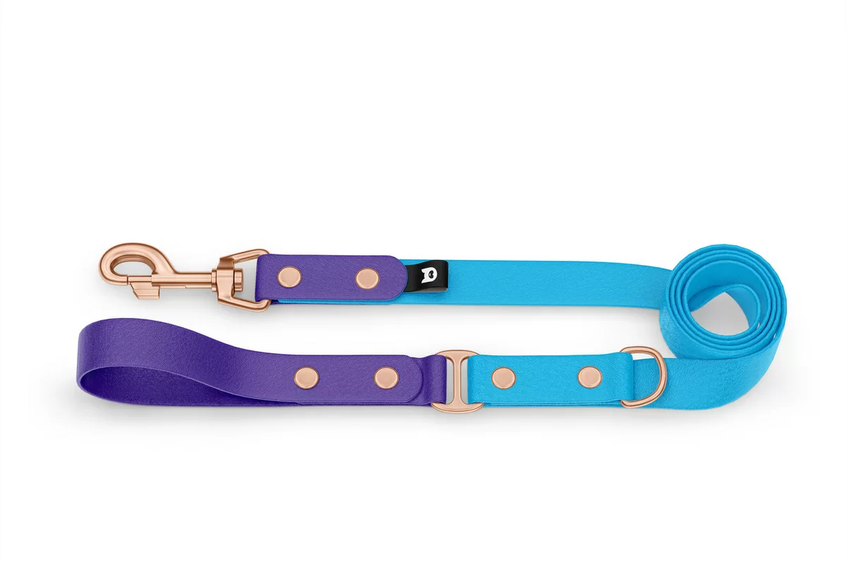 Dog Leash Duo: Purple & Light blue with Rosegold components
