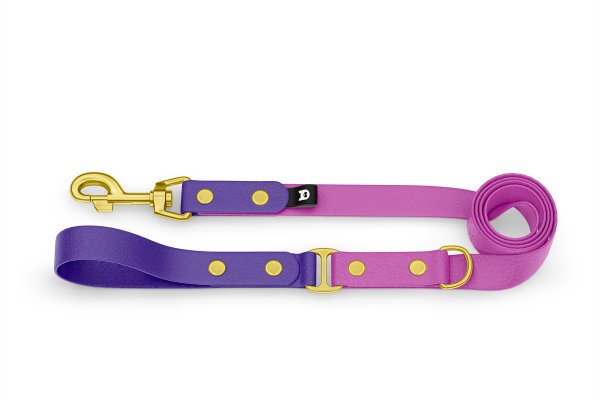 Dog Leash Duo: Purple & Light purple with Gold components