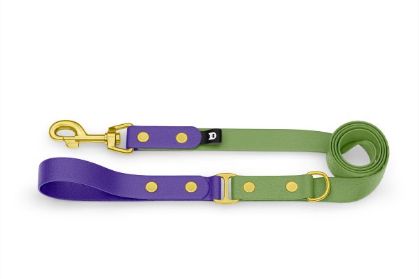 Dog Leash Duo: Purple & Olive with Gold components