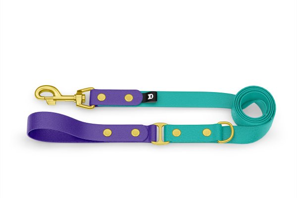 Dog Leash Duo: Purple & Pastel green with Gold components