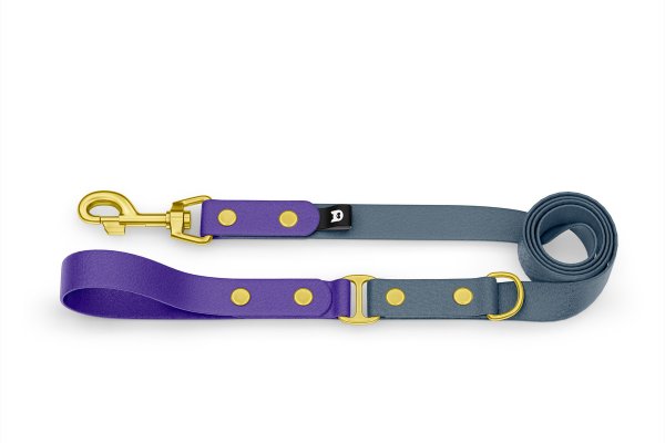 Dog Leash Duo: Purple & Petrol with Gold components
