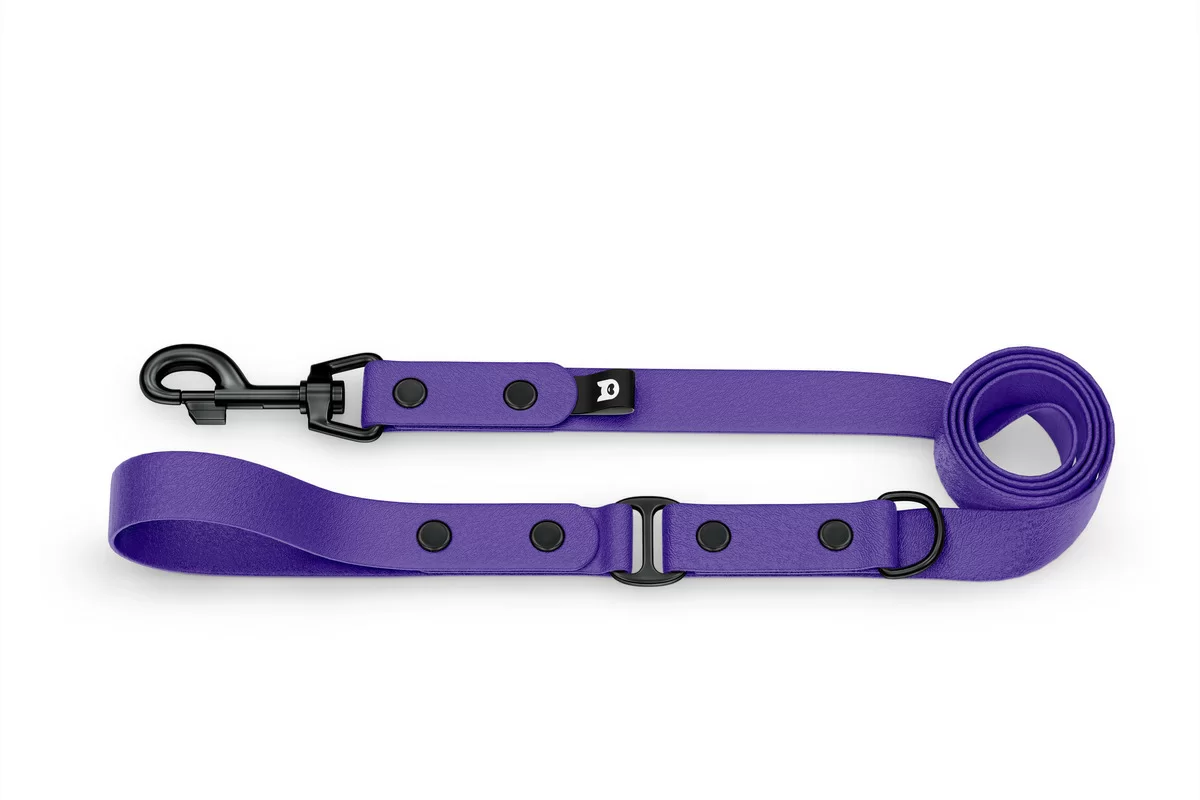 Dog Leash Duo: Purple & Purple with Black components
