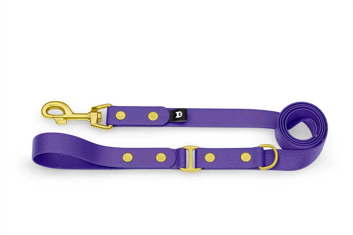 Dog Leash Duo: Purple & Purple with Gold components