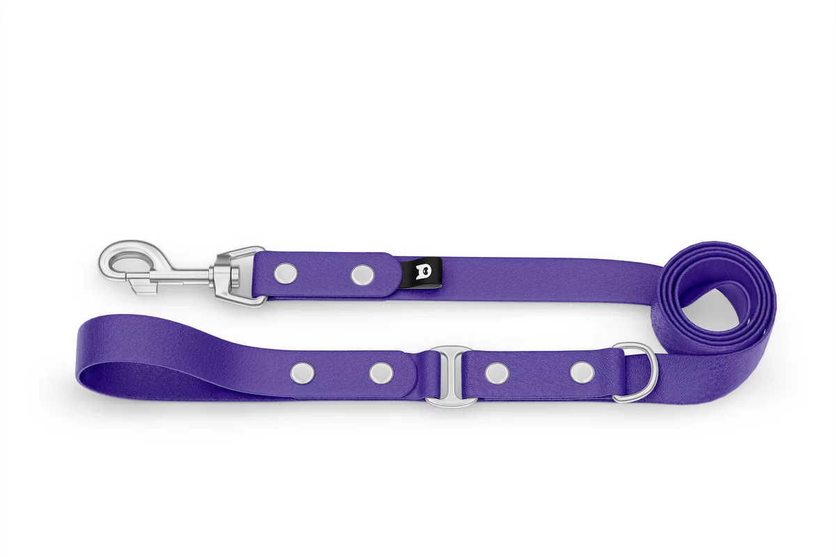 Dog Leash Duo: Purple & Purple with Silver components