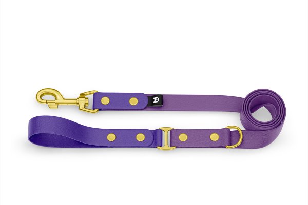 Dog Leash Duo: Purple & Purpur with Gold components
