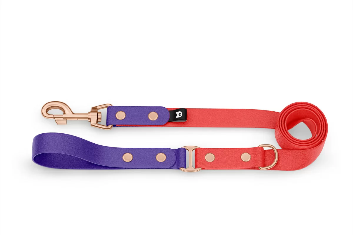 Dog Leash Duo: Purple & Red with Rosegold components