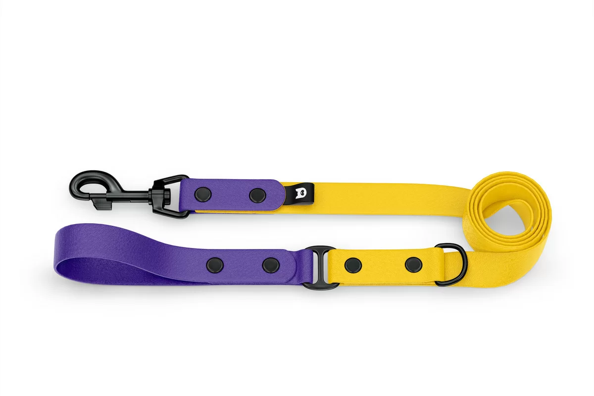 Dog Leash Duo: Purple & Yellow with Black components