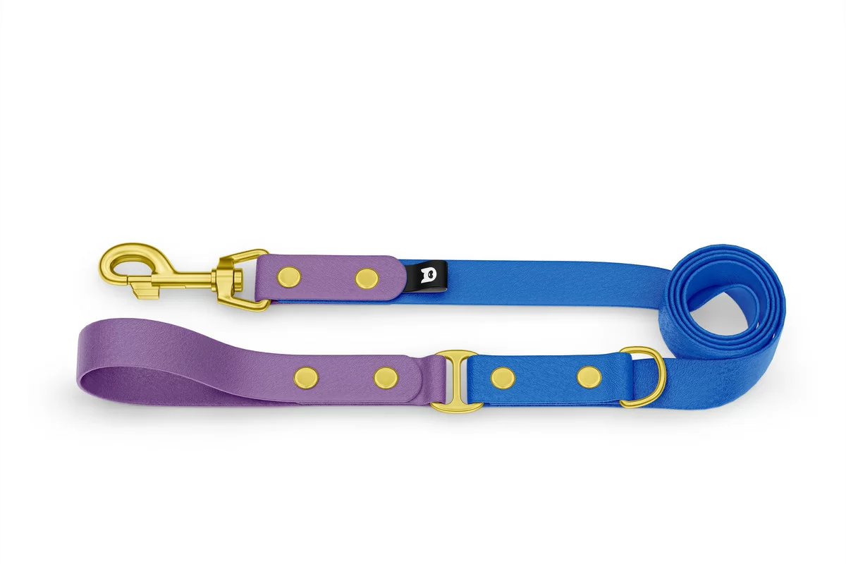 Dog Leash Duo: Purpur & Blue with Gold components