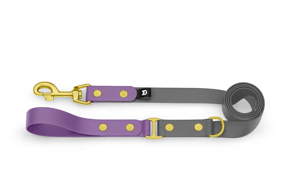 Dog Leash Duo: Purpur & Gray with Gold components