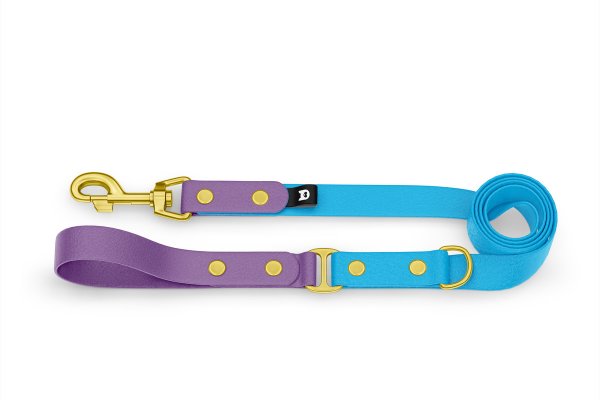 Dog Leash Duo: Purpur & Light blue with Gold components