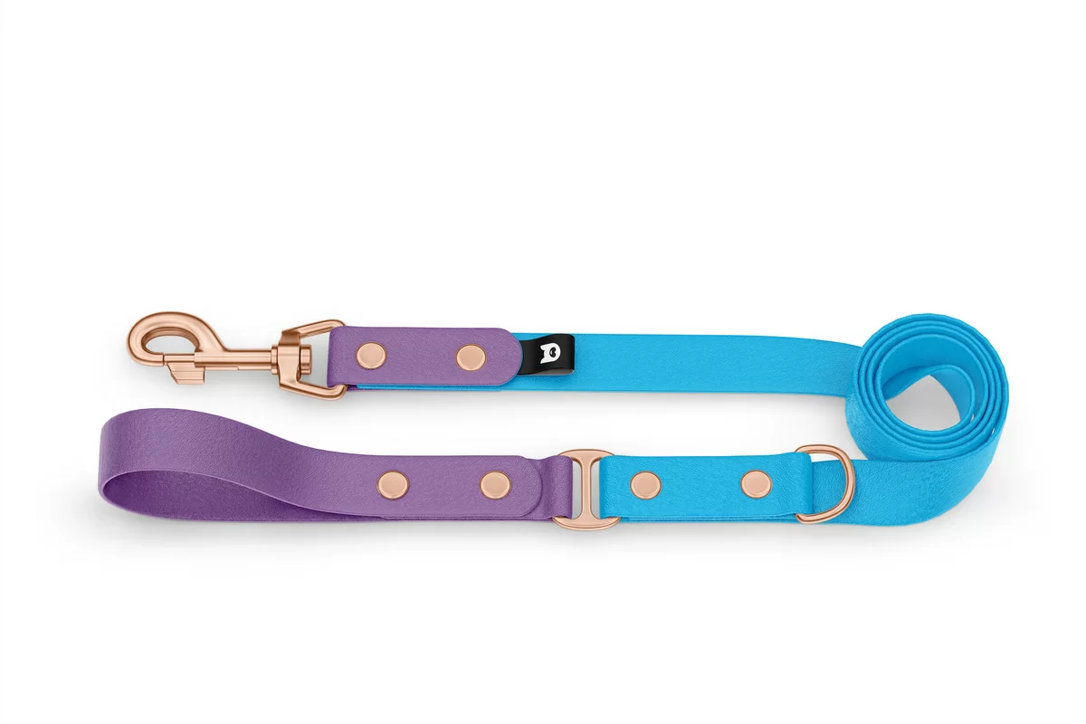 Dog Leash Duo: Purpur & Light blue with Rosegold components