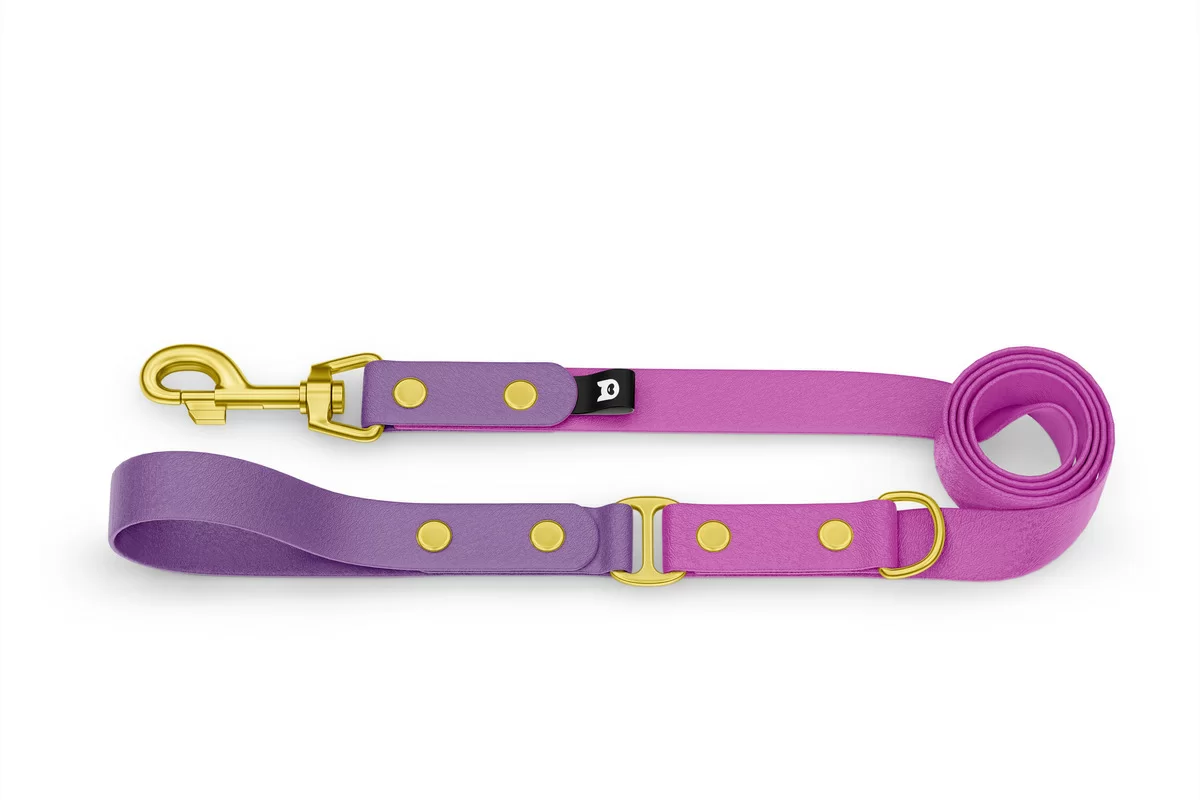 Dog Leash Duo: Purpur & Light purple with Gold components