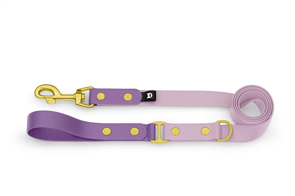 Dog Leash Duo: Purpur & Lilac with Gold components