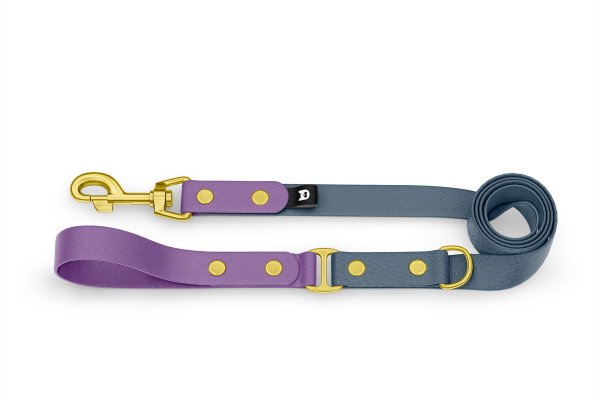Dog Leash Duo: Purpur & Petrol with Gold components