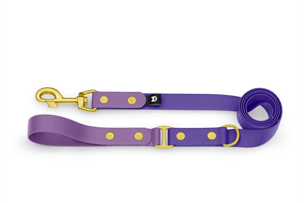 Dog Leash Duo: Purpur & Purple with Gold components