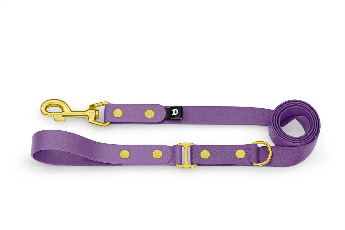 Dog Leash Duo: Purpur & Purpur with Gold components