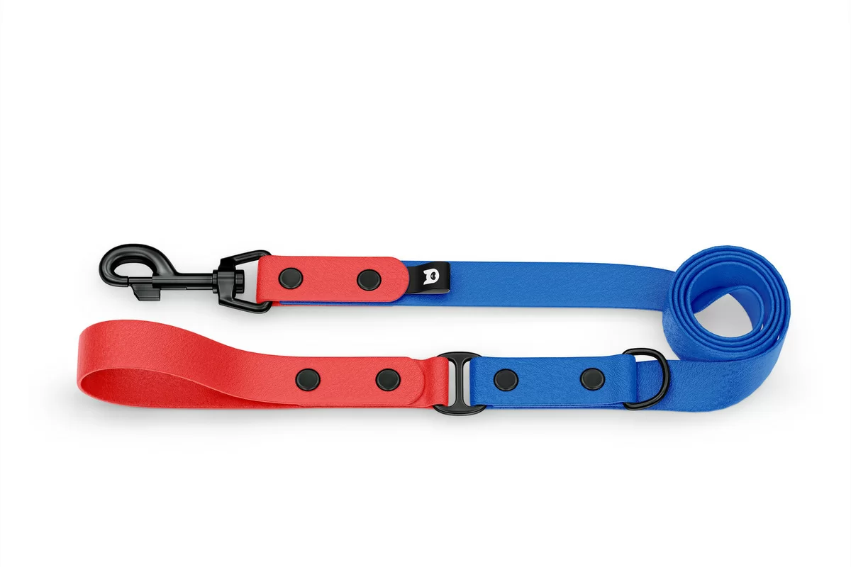 Dog Leash Duo: Red & Blue with Black components