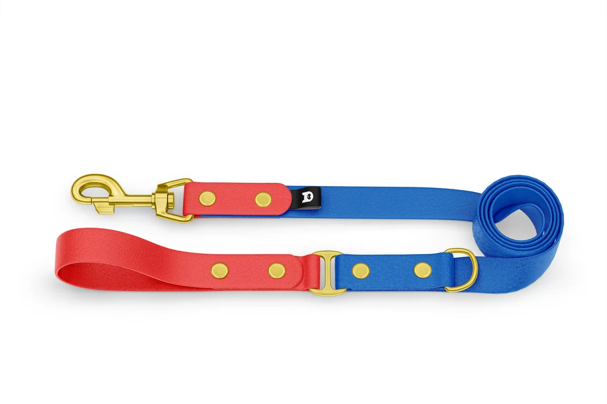 Dog Leash Duo: Red & Blue with Gold components