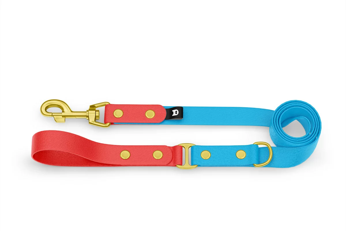 Dog Leash Duo: Red & Light blue with Gold components