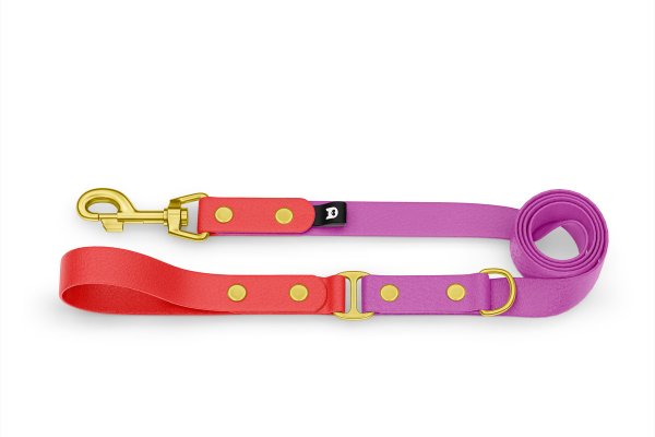 Dog Leash Duo: Red & Light purple with Gold components