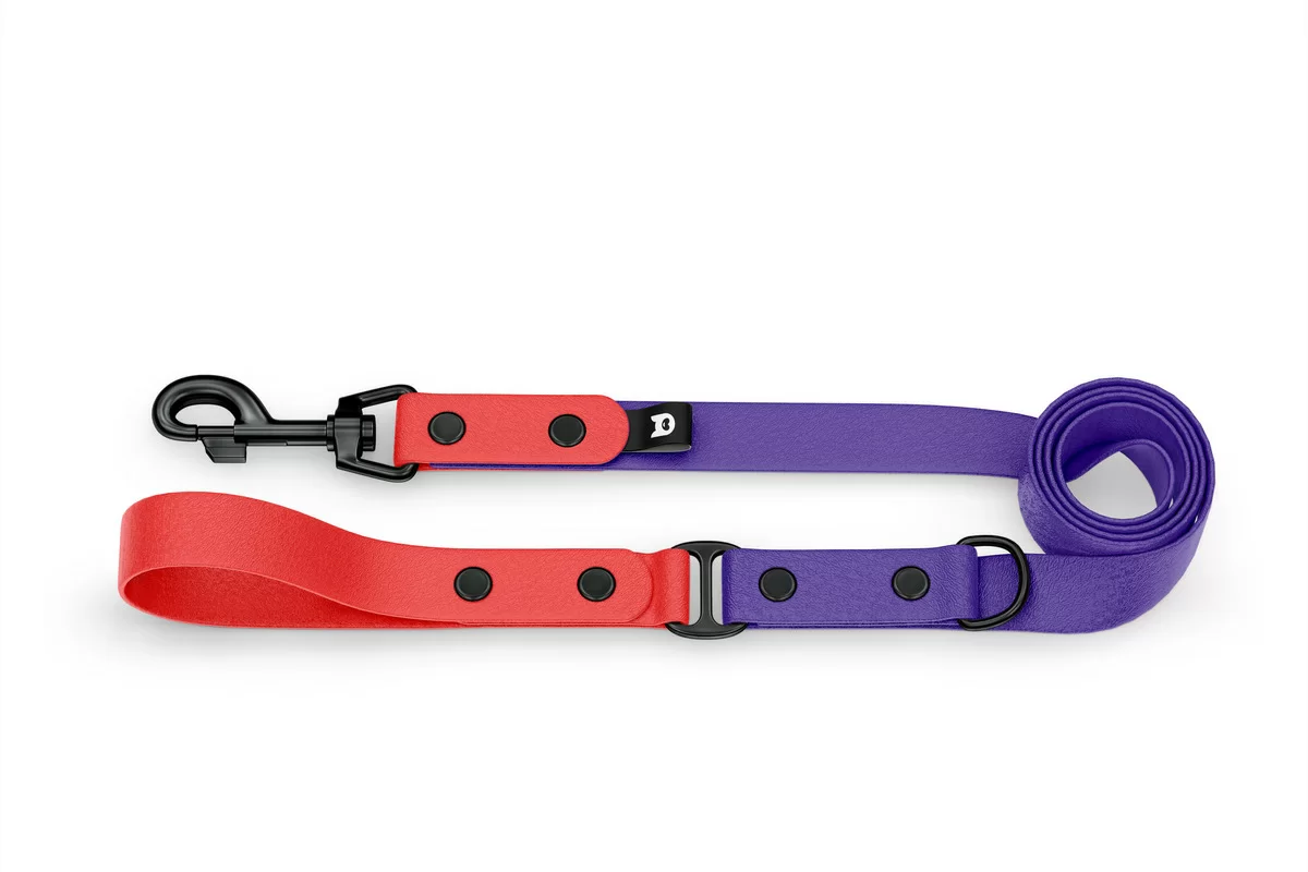 Dog Leash Duo: Red & Purple with Black components