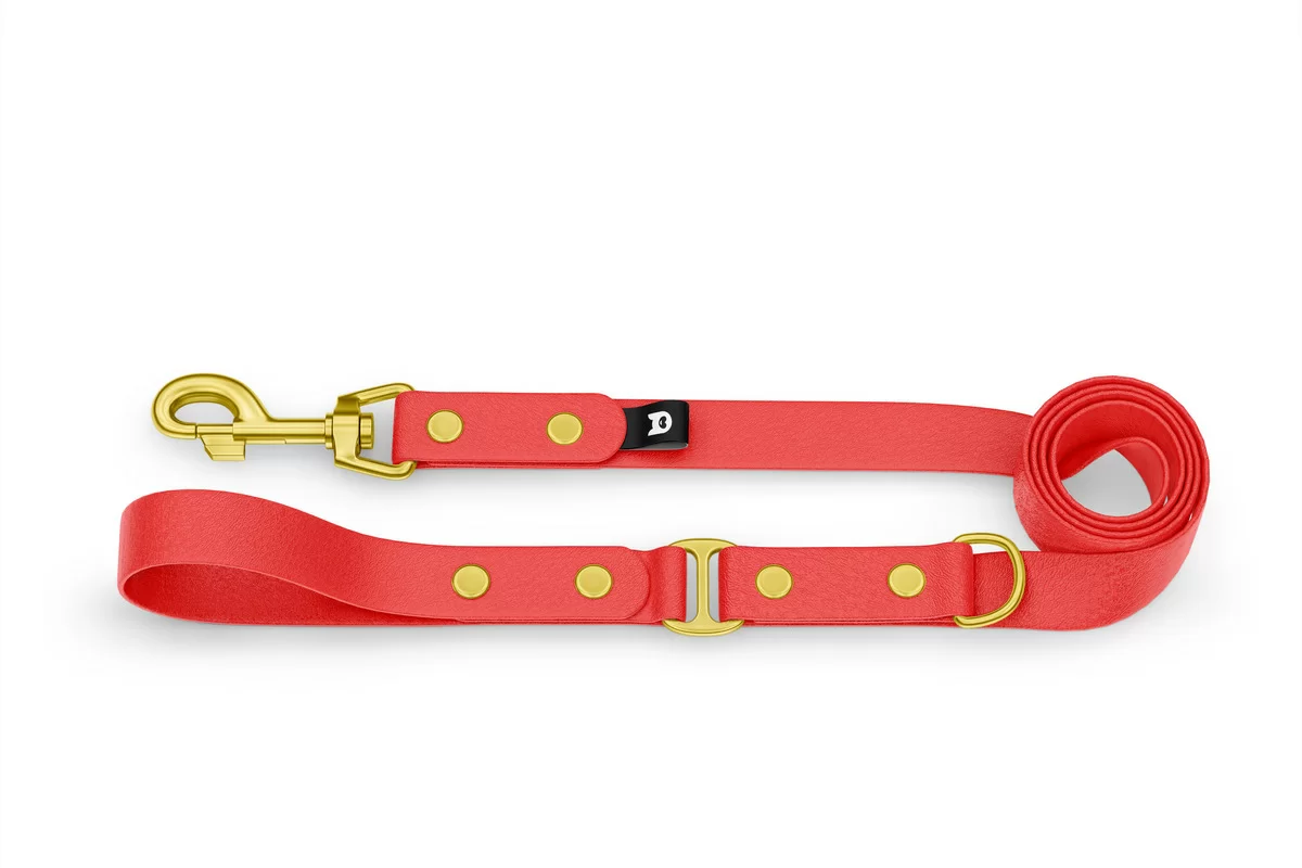 Dog Leash Duo: Red & Red with Gold components