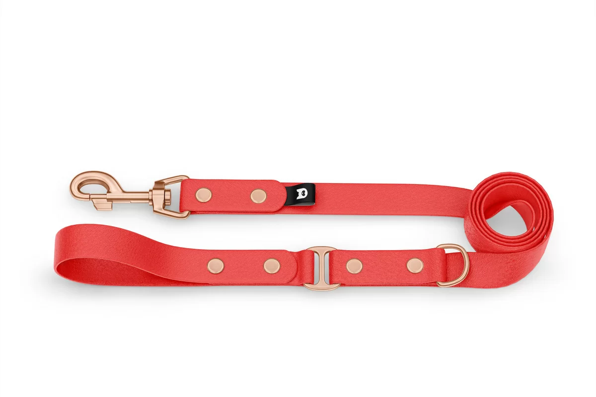 Dog Leash Duo: Red & Red with Rosegold components