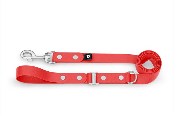 Dog Leash Duo: Red & Red with Silver components