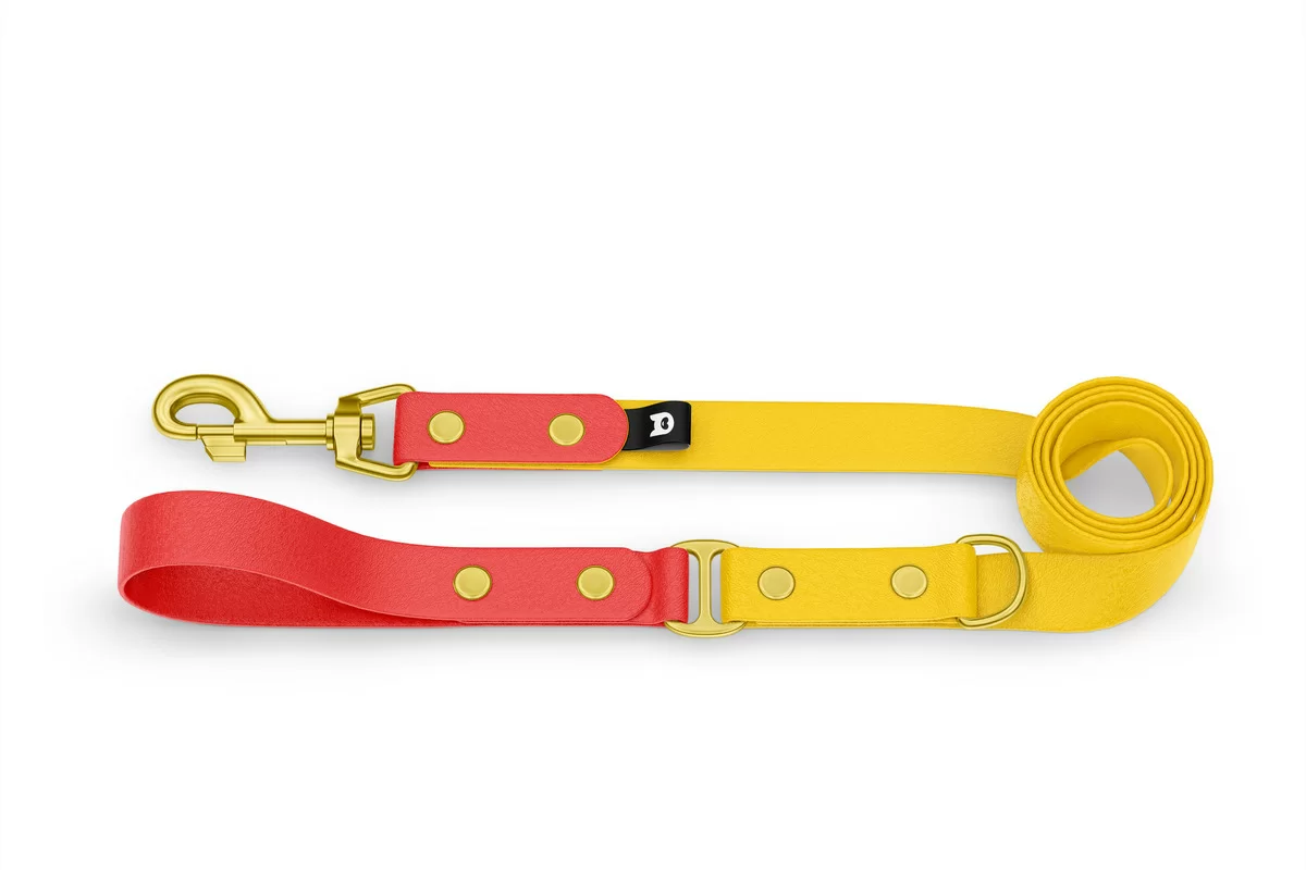 Dog Leash Duo: Red & Yellow with Gold components