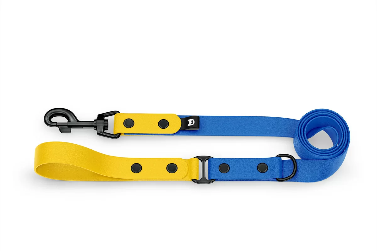 Dog Leash Duo: Yellow & Blue with Black components