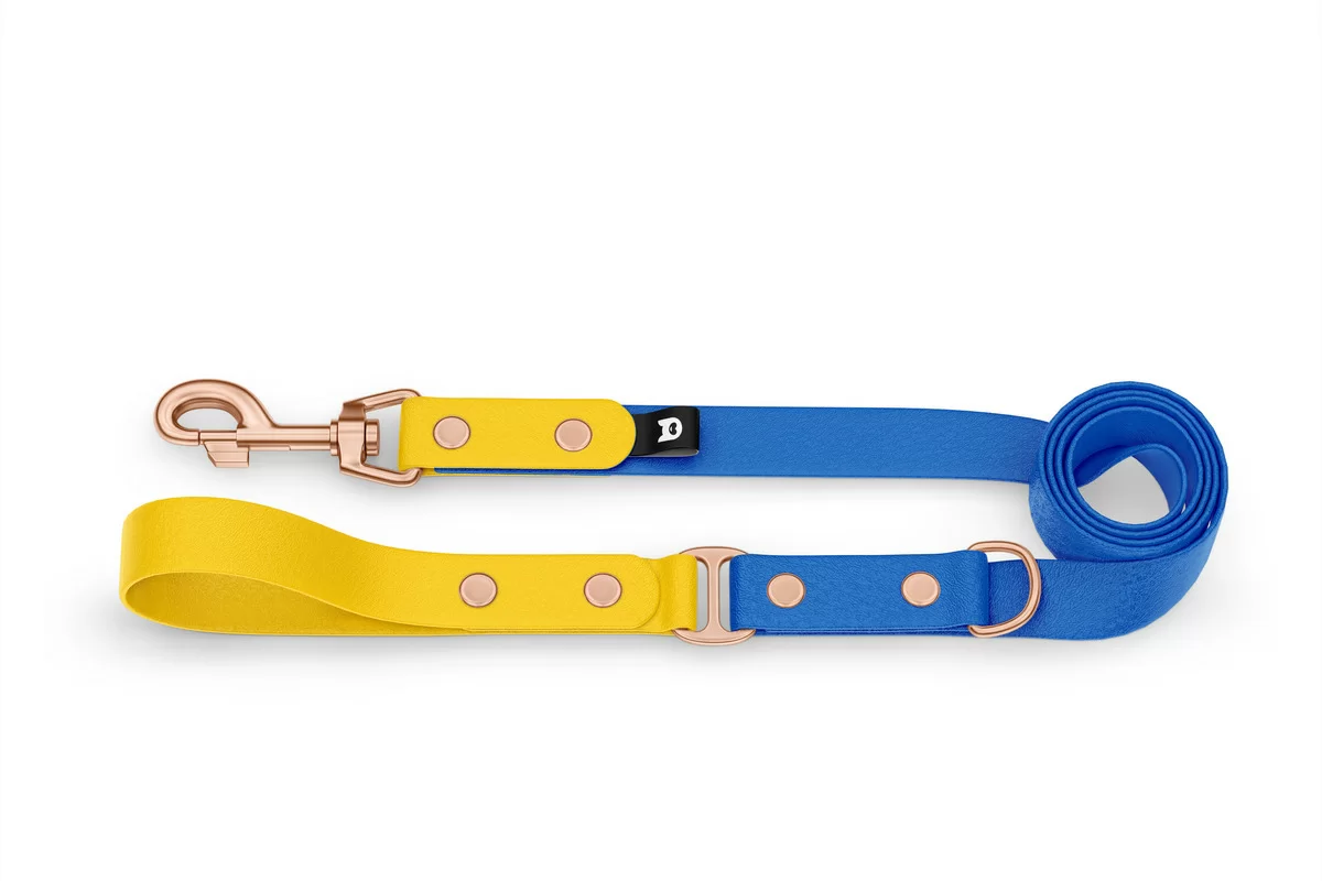 Dog Leash Duo: Yellow & Blue with Rosegold components