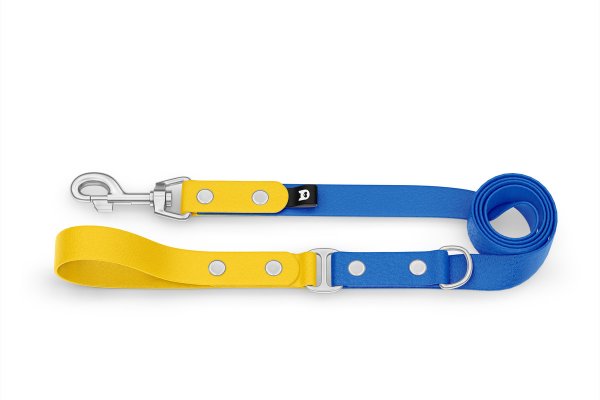Dog Leash Duo: Yellow & Blue with Silver components