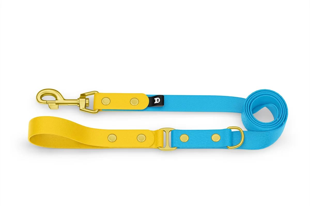 Dog Leash Duo: Yellow & Light blue with Gold components