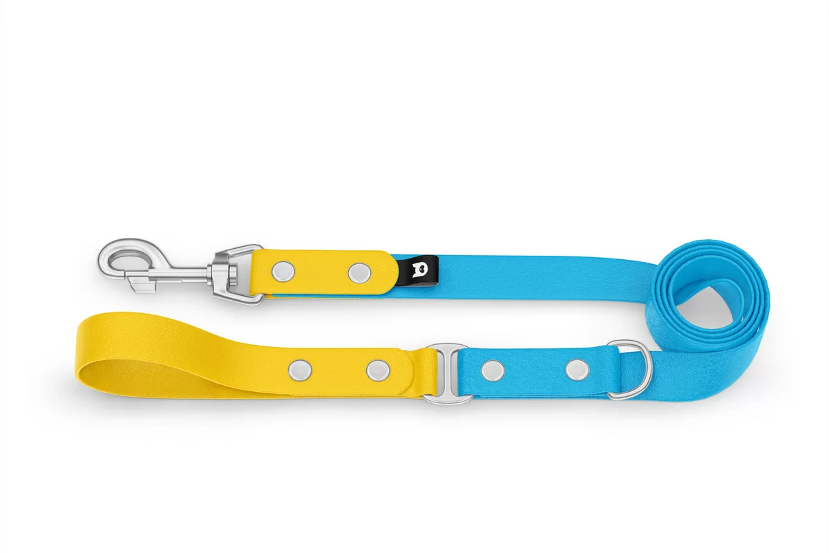 Dog Leash Duo: Yellow & Light blue with Silver components