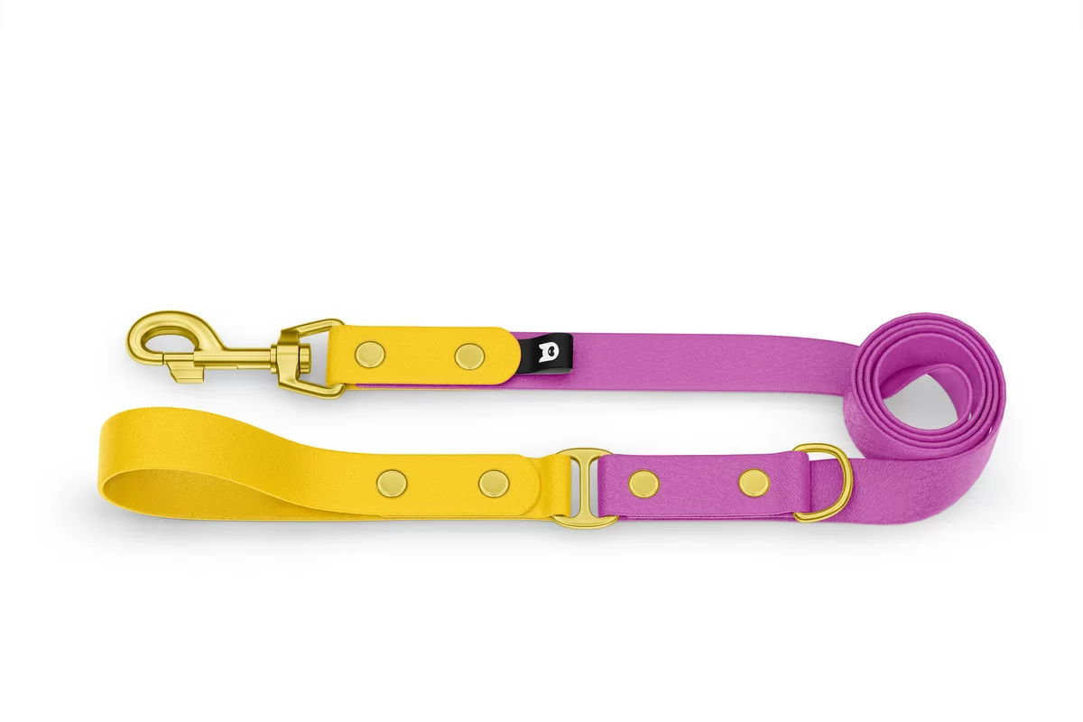 Dog Leash Duo: Yellow & Light purple with Gold components
