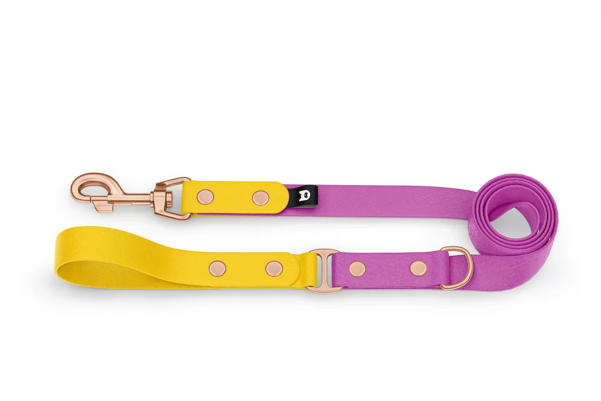 Dog Leash Duo: Yellow & Light purple with Rosegold components
