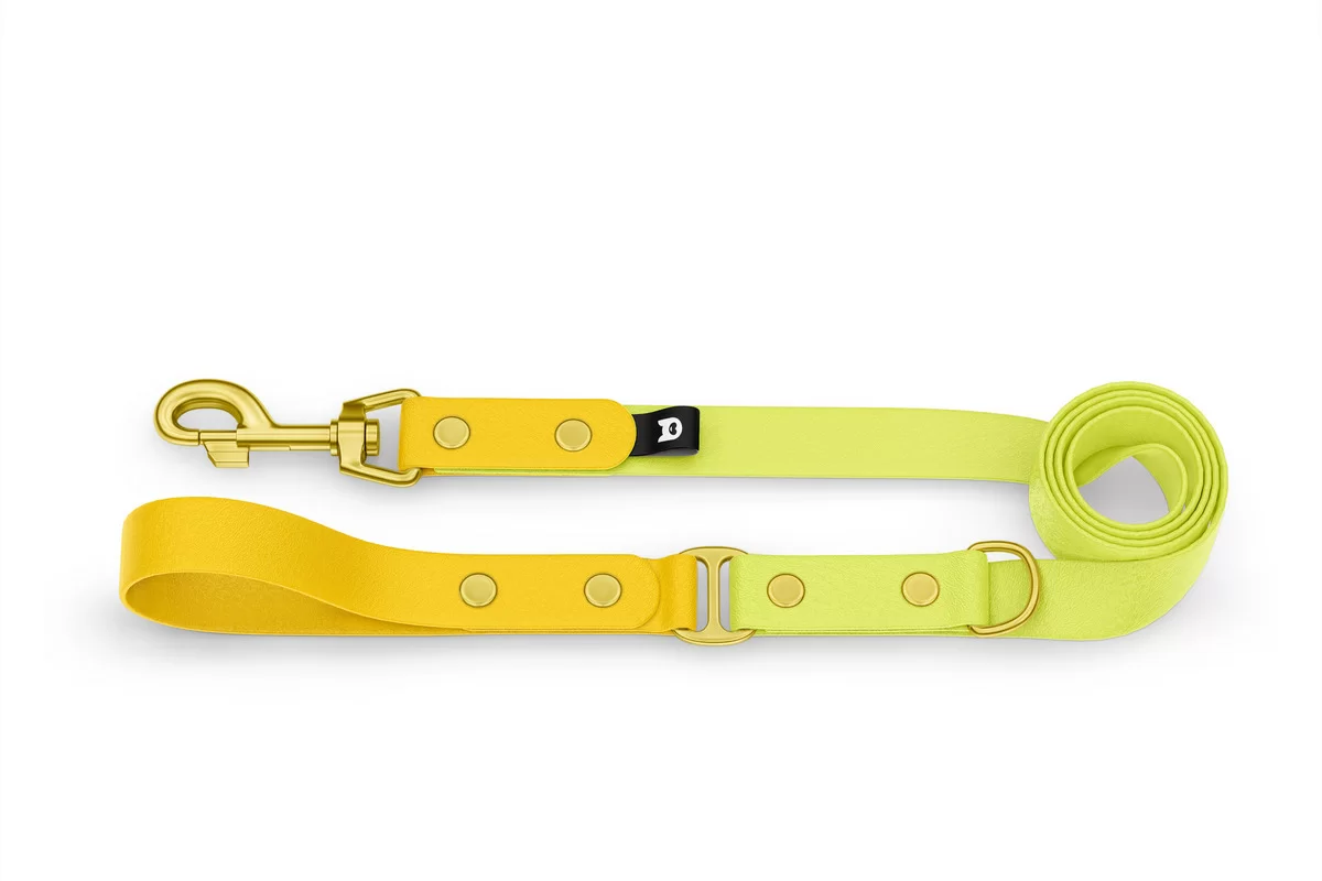 Dog Leash Duo: Yellow & Neon yellow with Gold components