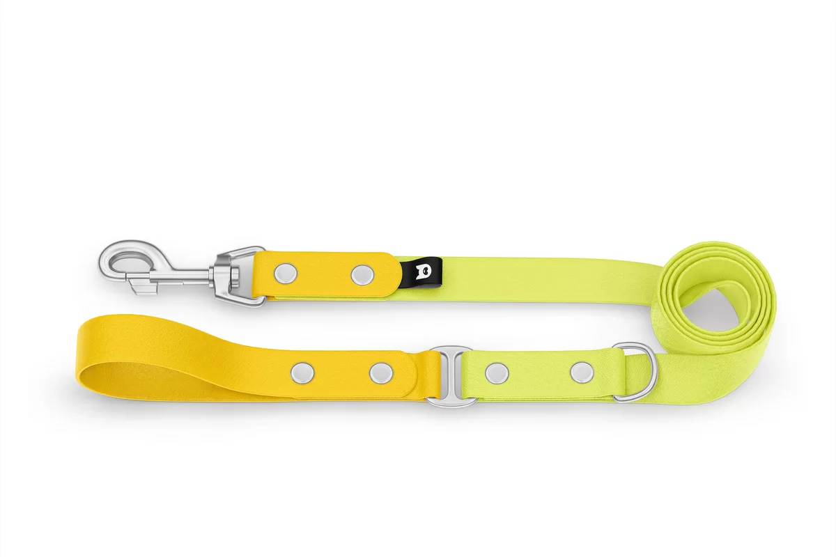 Dog Leash Duo: Yellow & Neon yellow with Silver components