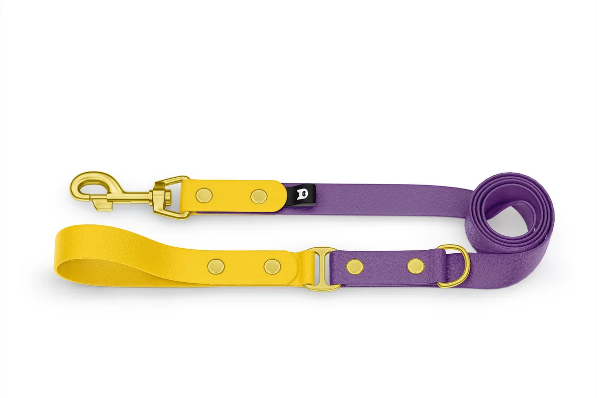 Dog Leash Duo: Yellow & Purpur with Gold components