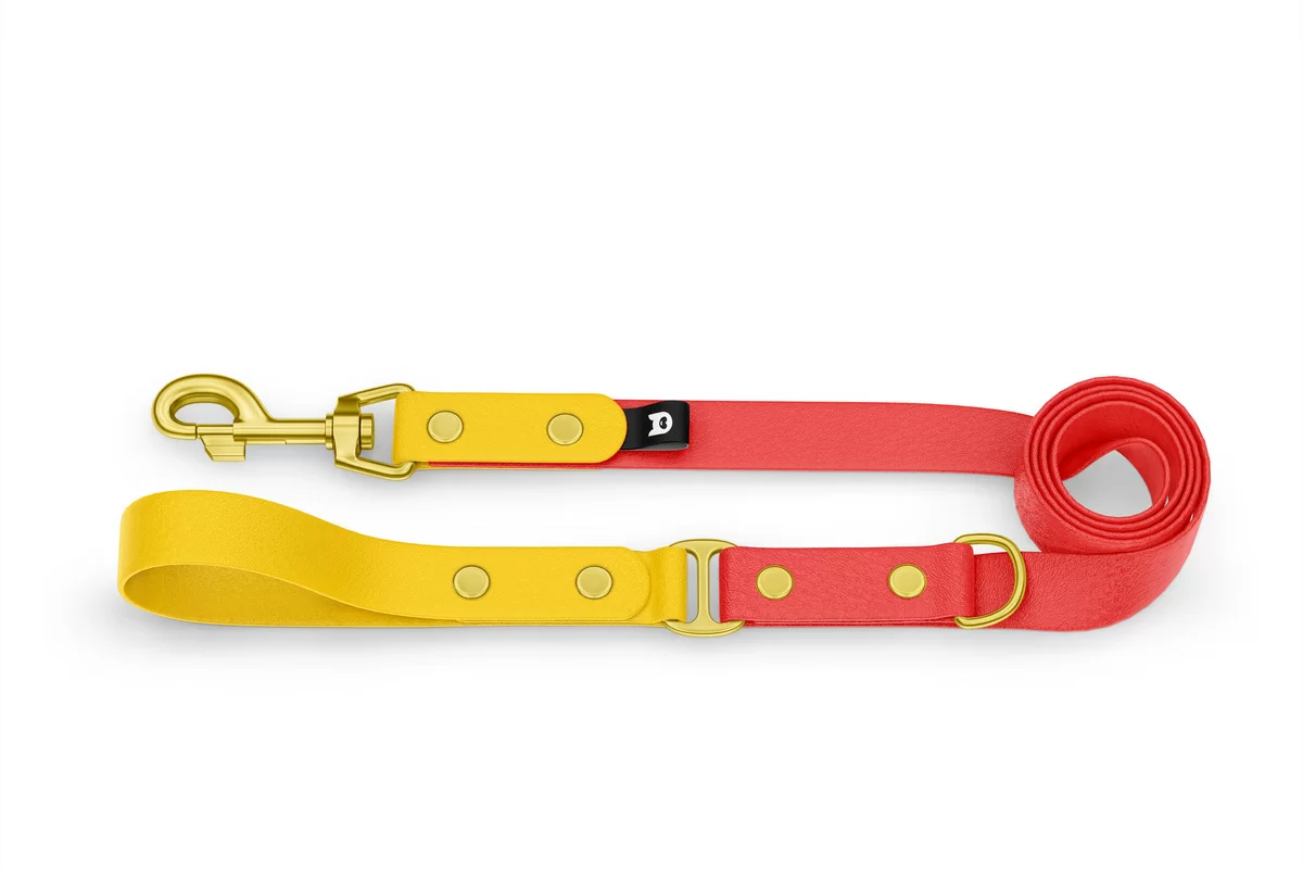 Dog Leash Duo: Yellow & Red with Gold components