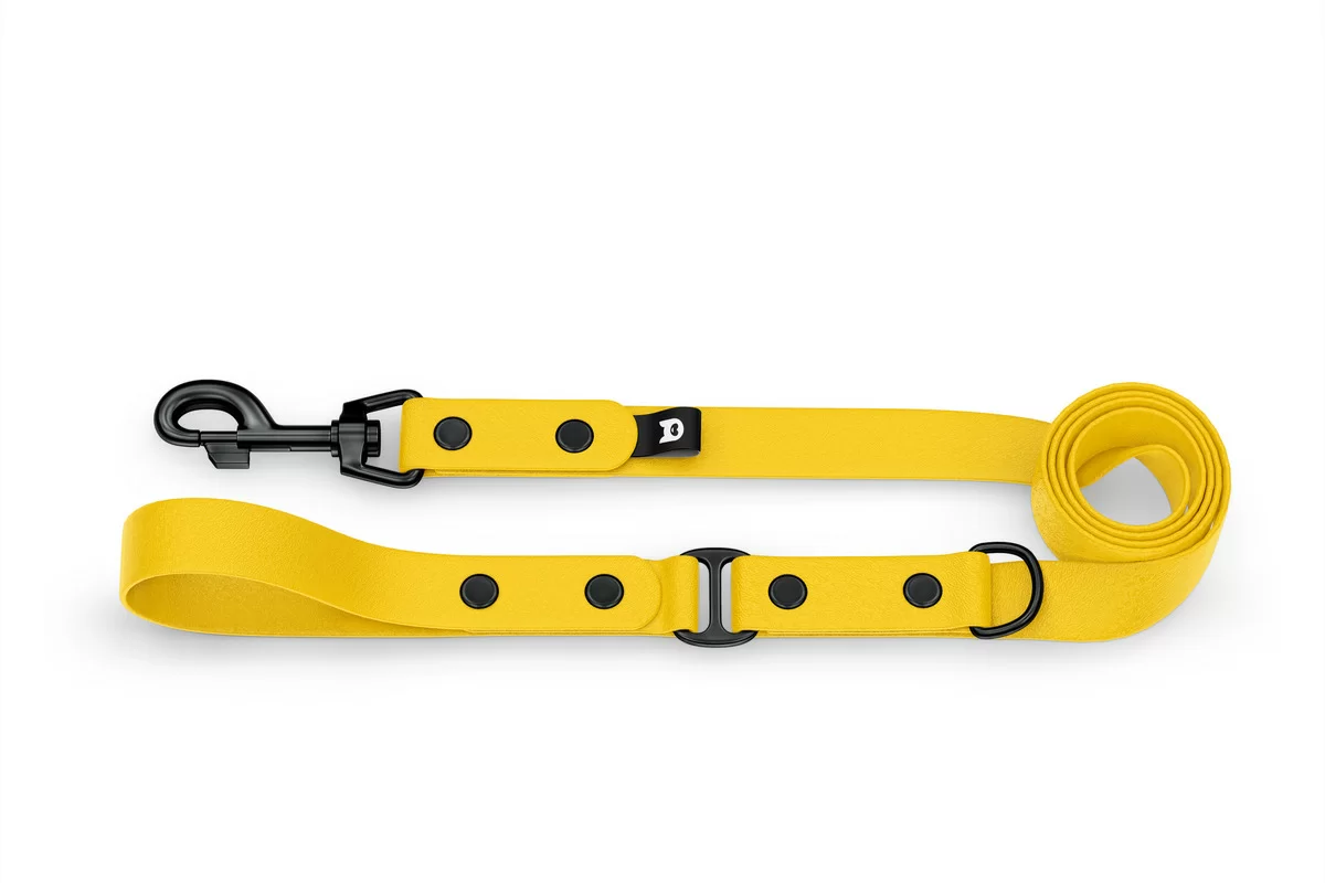 Dog Leash Duo: Yellow & Yellow with Black components