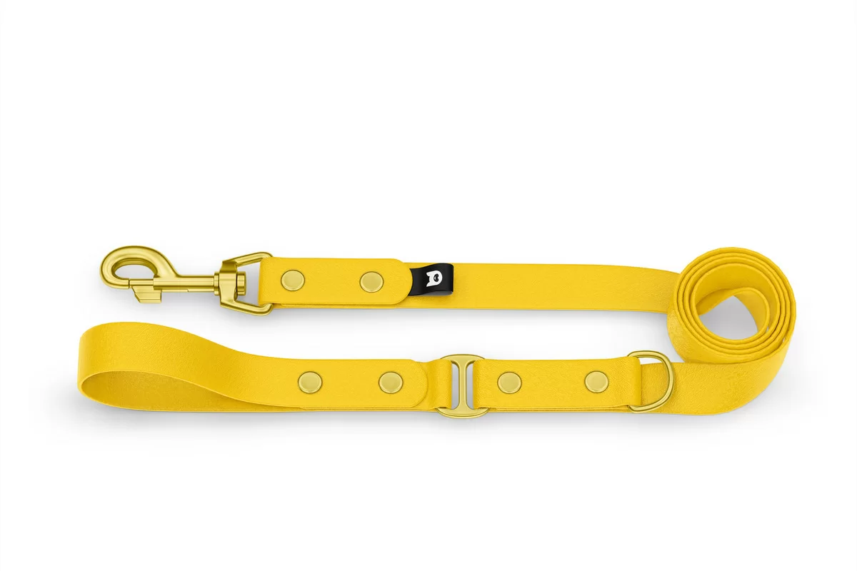 Dog Leash Duo: Yellow & Yellow with Gold components