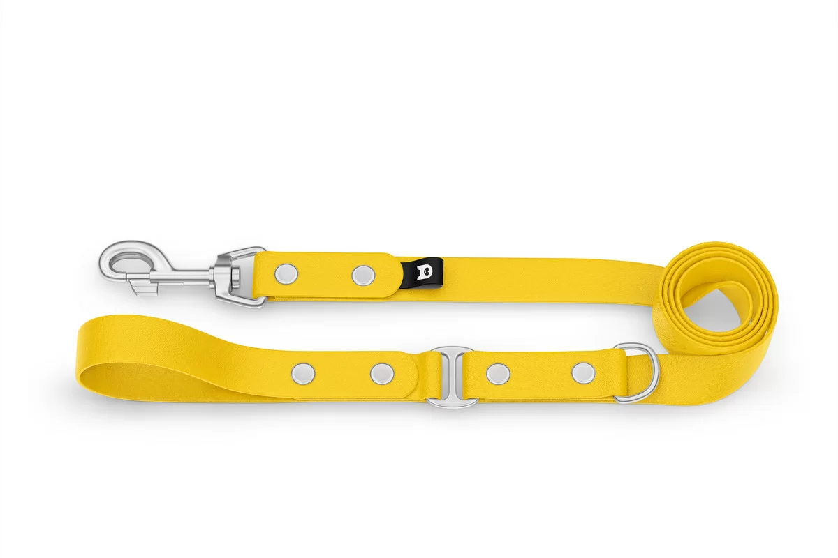 Dog Leash Duo: Yellow & Yellow with Silver components