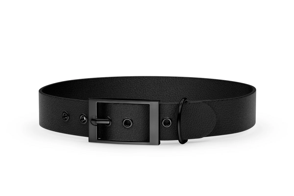Dog Collar Adventure: Black with Black