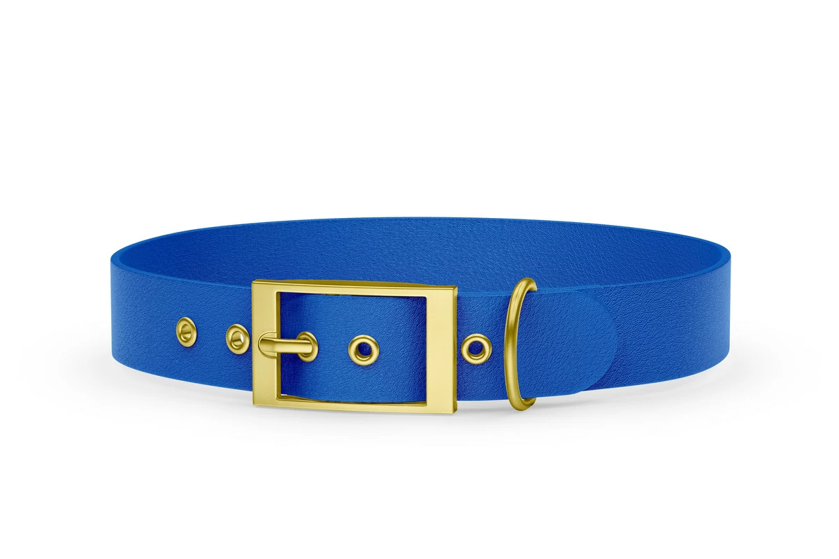 Dog Collar Adventure: Blue with Gold