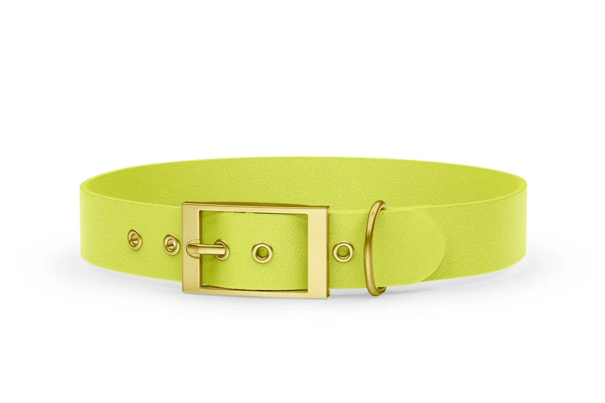 Dog Collar Adventure: Neon yellow with Gold