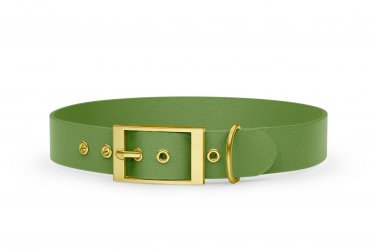 Dog Collar Adventure: Olive with Gold