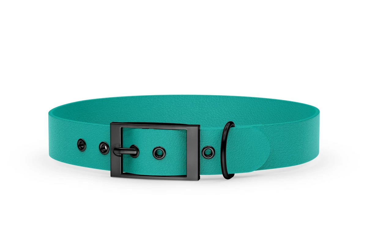 Dog Collar Adventure: Pastel green with Black